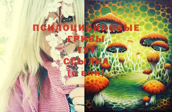 спайс Алексеевка